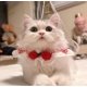 thumbnail image 4 of Collar para gato, suave, personalizado, con lazo de encaje, bonito collar tejido a mano, babero de punto ajustable para mascotas (XS: 20 cm/7,87 pulgadas, rojo), 4 of 4