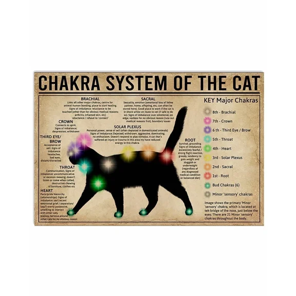 Poster Chakra System Of The Cat Wall Decor Unframed Wall Art, Unframed Prints For Home Or Office, Perfect Gift For Everyone, 8x12