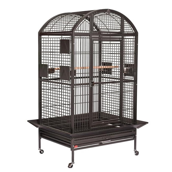 A&E Cage 9003628 HQ Sandstone 36 x 28 x 65 in. Extra Large Dome Top Bird Cage, Sandstone - 2 Box per Set