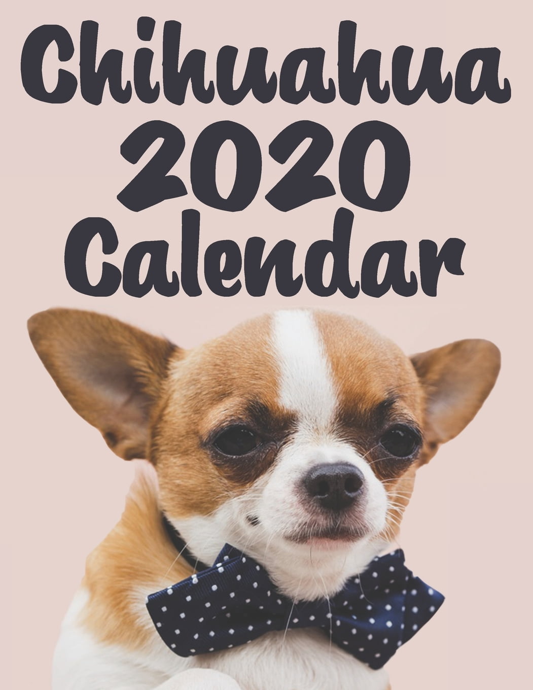 Chihuahua Calendar 2020 Dogs & Puppies 12 Month Calendar Monthly