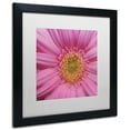 thumbnail image 4 of Trademark Fine Art "Pink" Canvas Art by Kurt Shaffer White Matte, Black Frame, 4 of 4