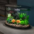 thumbnail image 2 of biOrb Orange Coral Ball Set, 2 of 8