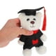 thumbnail image 2 of Lindo llavero de oso de graduación, encantador llavero de oso para la temporada de graduación, llavero de animal de peluche, animales de dibujos animados, colgante para bolso, 2 of 7