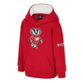 thumbnail image 2 of Toddler Colosseum  Red Wisconsin Badgers Big Logo Volume Fleece Pullover Hoodie, 2 of 3