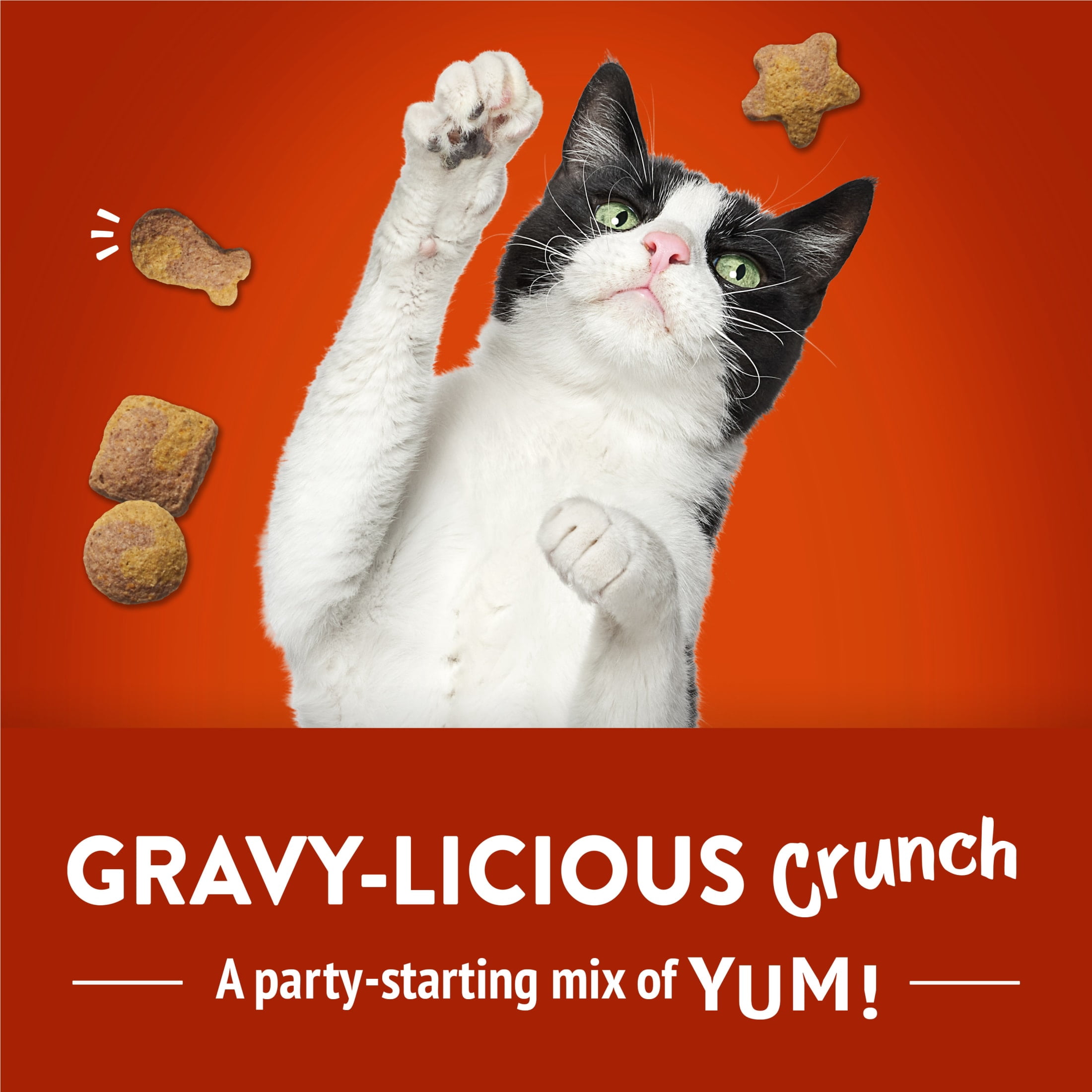 Purina Friskies Party Mix Gravy-licious, Cat Treats, Chicken & Gravy, 6 oz Bag, 6 Pack
