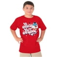 thumbnail image 3 of Tootsie Owl USA Stars and Stripes Crewneck T Shirts Boy Girl Teen Brisco Brands M, 3 of 6