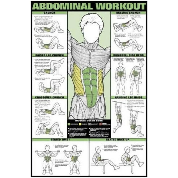Abdominal Workout 24" X 36" Laminated Chart