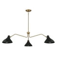 thumbnail image 2 of Trade Winds Delphine 3-Light Pendant in Matte Black with Natural Brass, 2 of 5