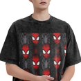 thumbnail image 2 of Spider-Man Vintage Washed Drop Shoulder Short Sleeve T-Shirt - Iron On, 2 of 7
