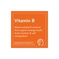 thumbnail image 3 of NOW Foods, Ultra B-12, 16 onzas líquidas (473 ml), 3 of 4