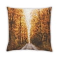 thumbnail image 2 of Ahgly Company State Michigan Coussin d'Extérieur, 18 Pouces par 18 Pouces, 2 of 6