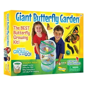Edu-Toys Insect Exploring Kit, All you need to explore and collect 