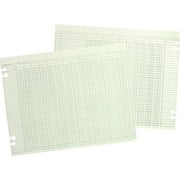 Wilson Jones, WLJG3020, 20-Column Ruled Sheets, 100 / Pack