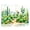 Color 3, variant on 8 Pack Art Acoustic Panels Sound Absorbing Desert Vibrant Landscape Colorful Flowers Greenery Cactus Decorative Soundproof Wall Panels Self Adhesive for Nursery Game Room Bedroom 48"x32"
