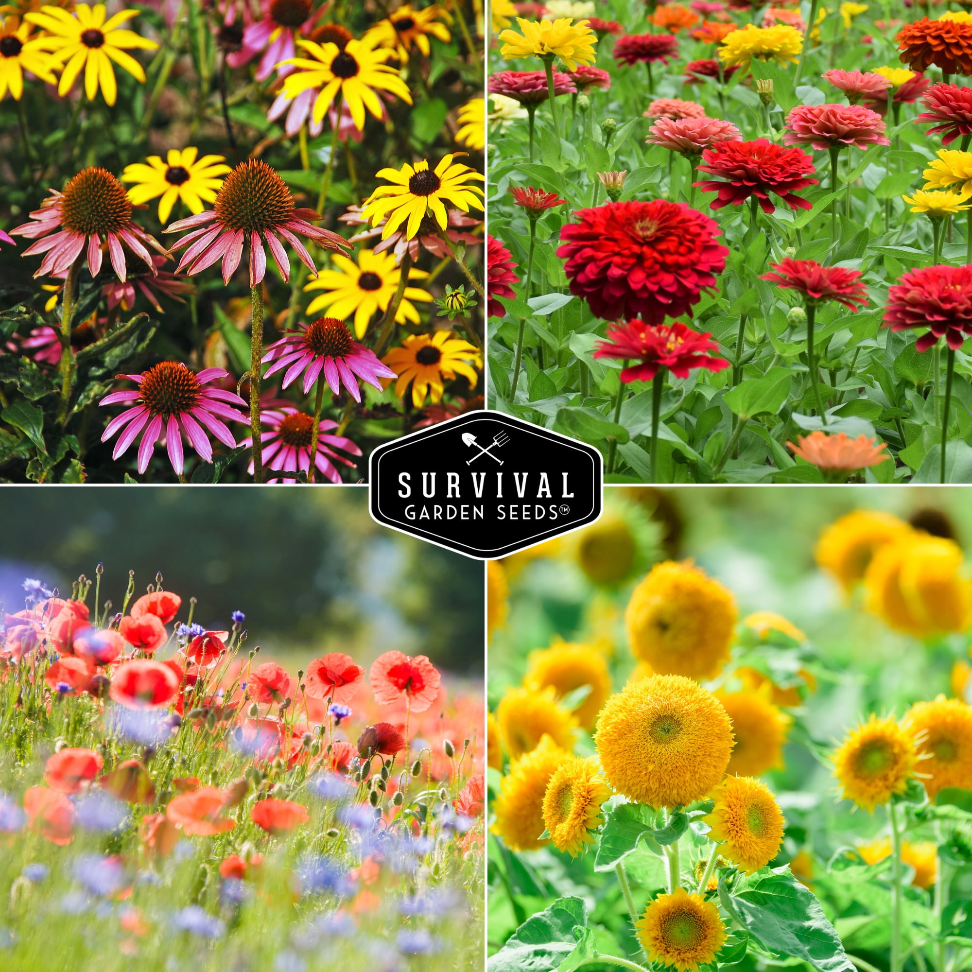 Functional Flower Seeds - 36 pack Heirloom Garden Flower Mix of Annuals & More