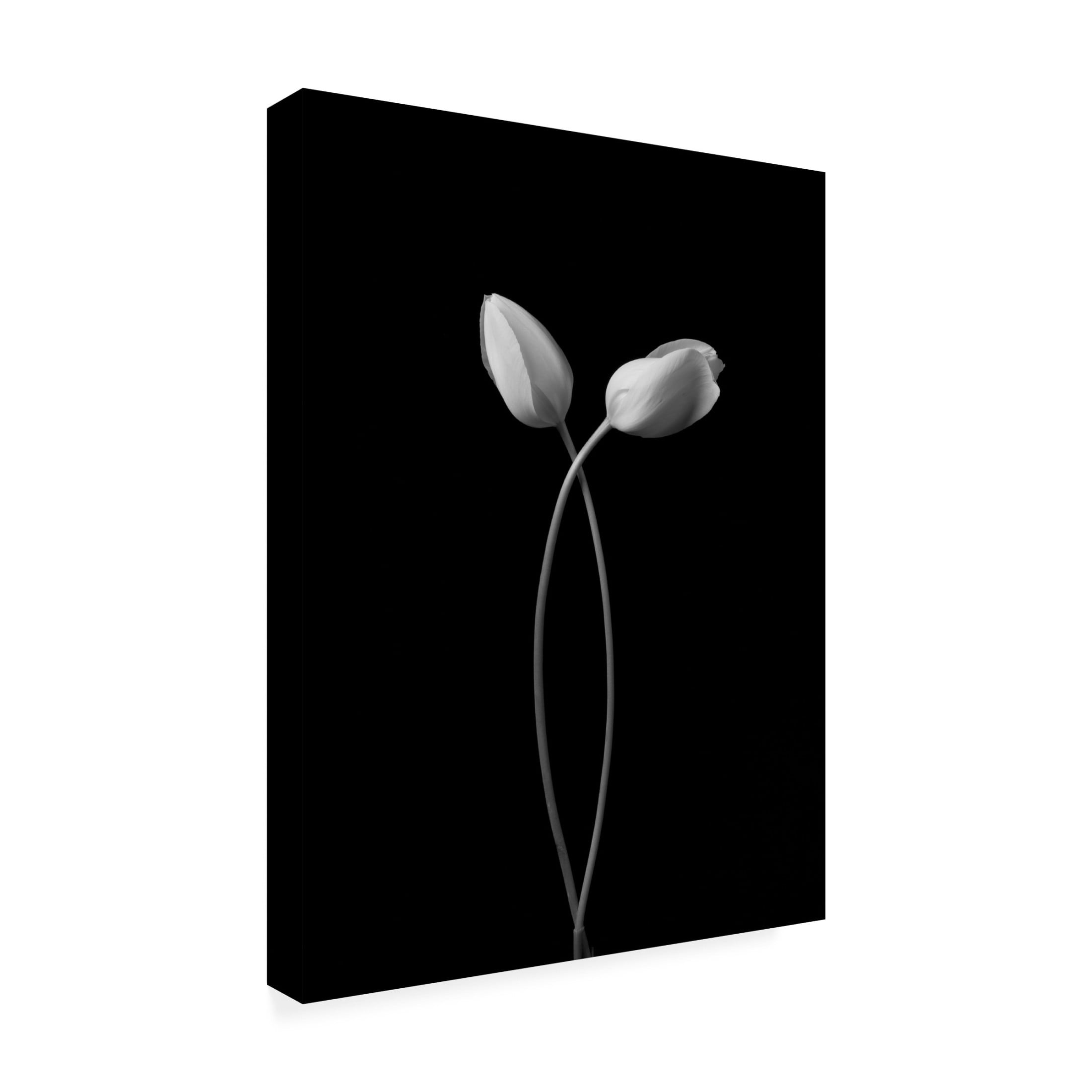 Canvas Wall Art - Tonyxu  'Hug' Wall Art for Living Room, Bedroom, or Office Décor by Trademark Fine Art - 35 x 47 Inches