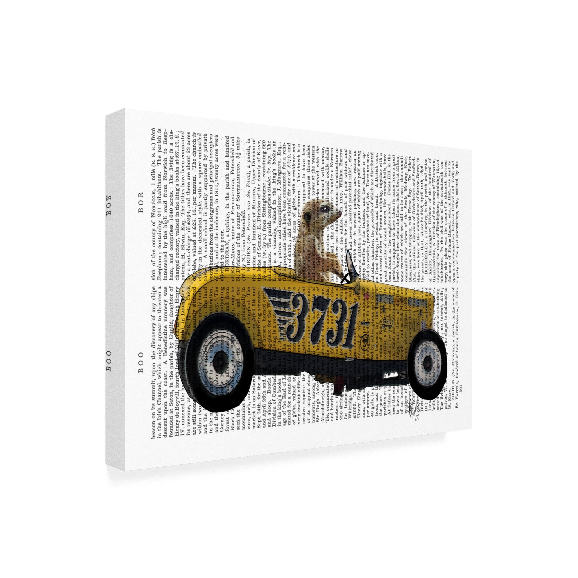 Trademark Fine Art 'Meerkat In Hot Rod' Canvas Art by Fab Funky