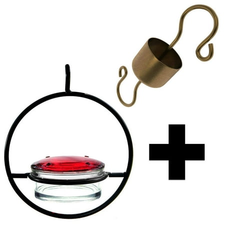 Best Glass Bee & Wasp Proof Hummingbird Feeder + Skinny Ant Moat Bundle - Great Gift (Best Bee Proof Hummingbird Feeder)