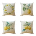 thumbnail image 1 of Fundas de cojín de limón de 45 x 45 cm, fundas de almohada decorativas de frutas, fundas de almohada de terciopelo suave de estilo rústico, juego de 4, 1 of 5