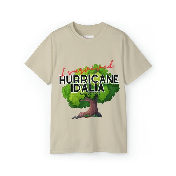 Hurricane Idalia t-shirt, t-shirt,Tee