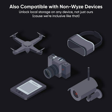 Wyze Expandable Storage 128GB MicroSDXC Card Class 10, Black