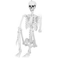 thumbnail image 6 of Cixusio 7.9ft/240cm Halloween Giant Skeleton Poseable Large Full Body Skeleton with Movable Joints for Indoor Outdoor Halloween Decor, 6 of 16
