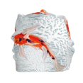 thumbnail image 2 of Kll Koi Fish Corals,Spring Summer Winter Fall Beanie Knit Hats For Men & Women - Warm & Soft Stylish Toboggan Caps For Cold Weather, 2 of 9