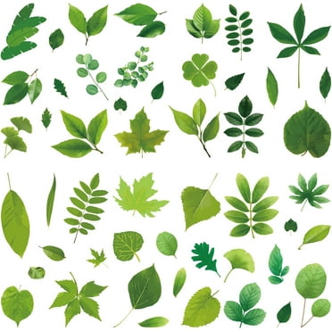8 Sheets Leaf Wall Stickers Green Plant Window Clings Waterproof Self Adhesive Vinyl Wall Decals Peel and Stick for Bedroom Living Room Window Stairway Showcase Home Decorations Mixed Color DIY