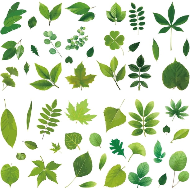 8 hojas de pegatinas de pared de hojas verdes para ventanas, vinilos autoadhesivos impermeables para despegar y pegar.