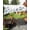 white, variant on Eucalyptus Leaves Sun Sail Shades Rectangle Canopy,Sunlight Block Heavy Duty Curved Backyard Shade Cover,Botanical Floral Plants Birds Country Waterproof Sun Shades for Patios Garden Pergola 12'x16'