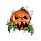thumbnail image 5 of Pegatinas de Calabaza Soledad Decoración Autoadhesiva PVC 30cm x 30cm 2 piezas, 5 of 10
