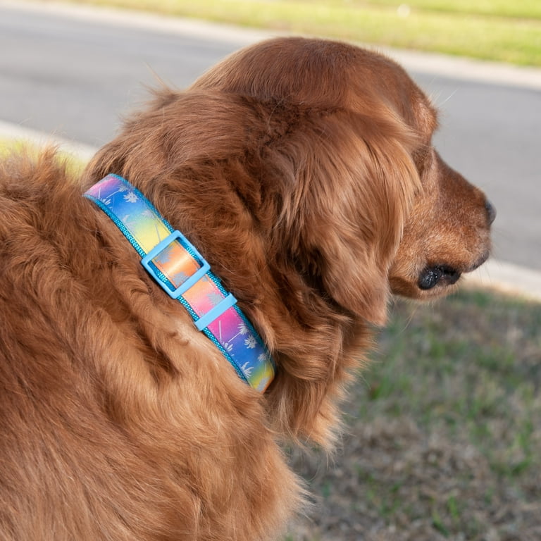 Justice Pet Reflective Nylon Palm Tree Adjustable Dog Collar XS