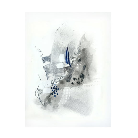 Trademark Fine Art Alyson Storms  Silver Springs 1 Canvas Wall Art