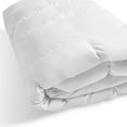 asthma & allergy Friendly 240TC Down Comforter in Multiple Sizes