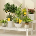 thumbnail image 4 of ACDANC 2026 New 50 Pc Yellow Sticky Gnat Traps for Indoor & Outdoor Plants,3 Cute Shapes (Tulip,Cat,Bird),Non-Toxic Fly Catcher for Whiteflies,Fungus Gnats,Fruit Flies,Resistant Adhesive Stakes, 4 of 7