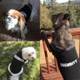thumbnail image 2 of Camisas para perros Disfraces de ropa para gatos de seguridad para cosplay, P transpirable, 2 of 5