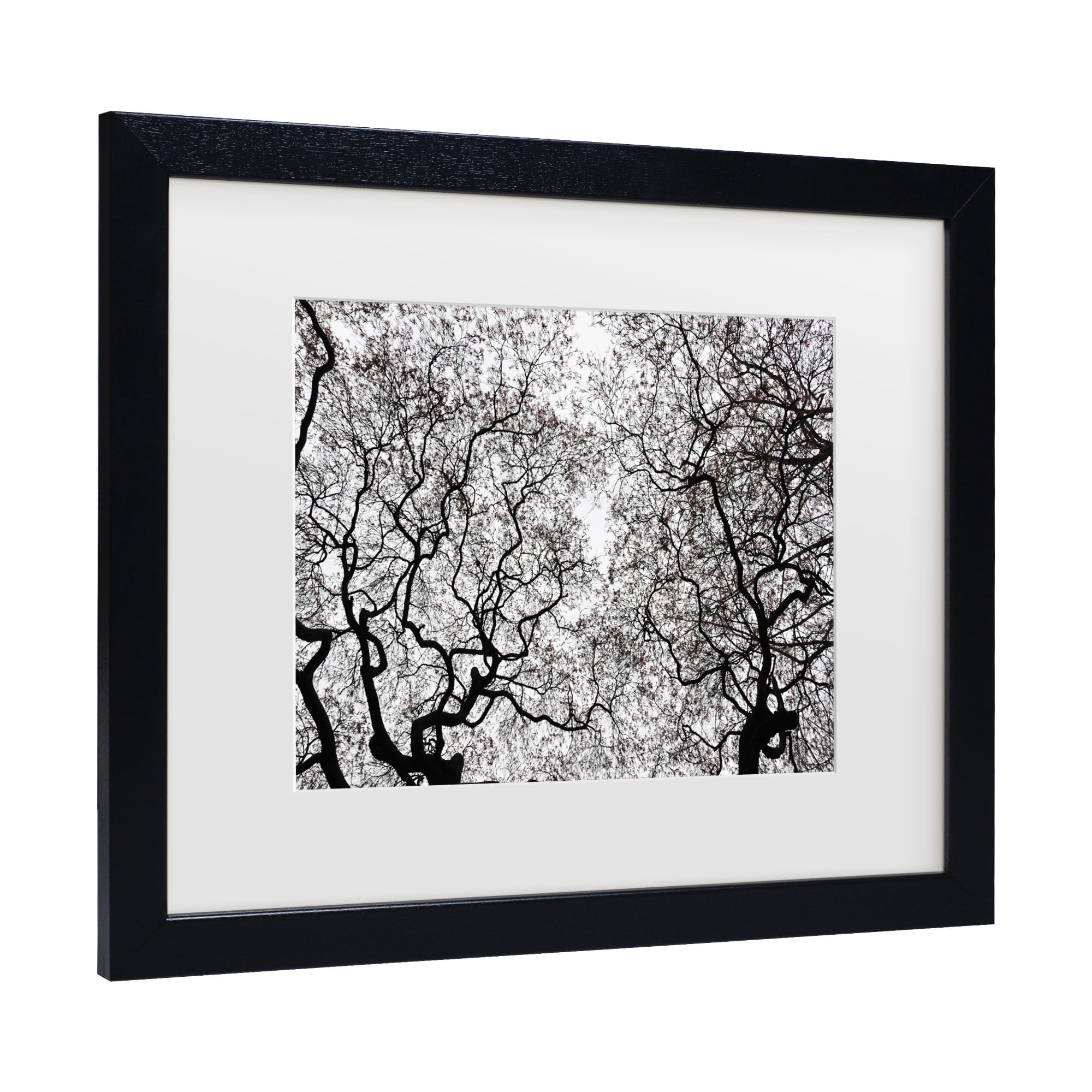 Trademark Fine Art 'Japanese Maple Spring Abstract' Canvas Art by Kurt Shaffer