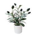 thumbnail image 4 of Planta Artificial de Olivo para Decoración de Mesa, Planta Artificial para Estante, Oficina O Hogar., 4 of 9