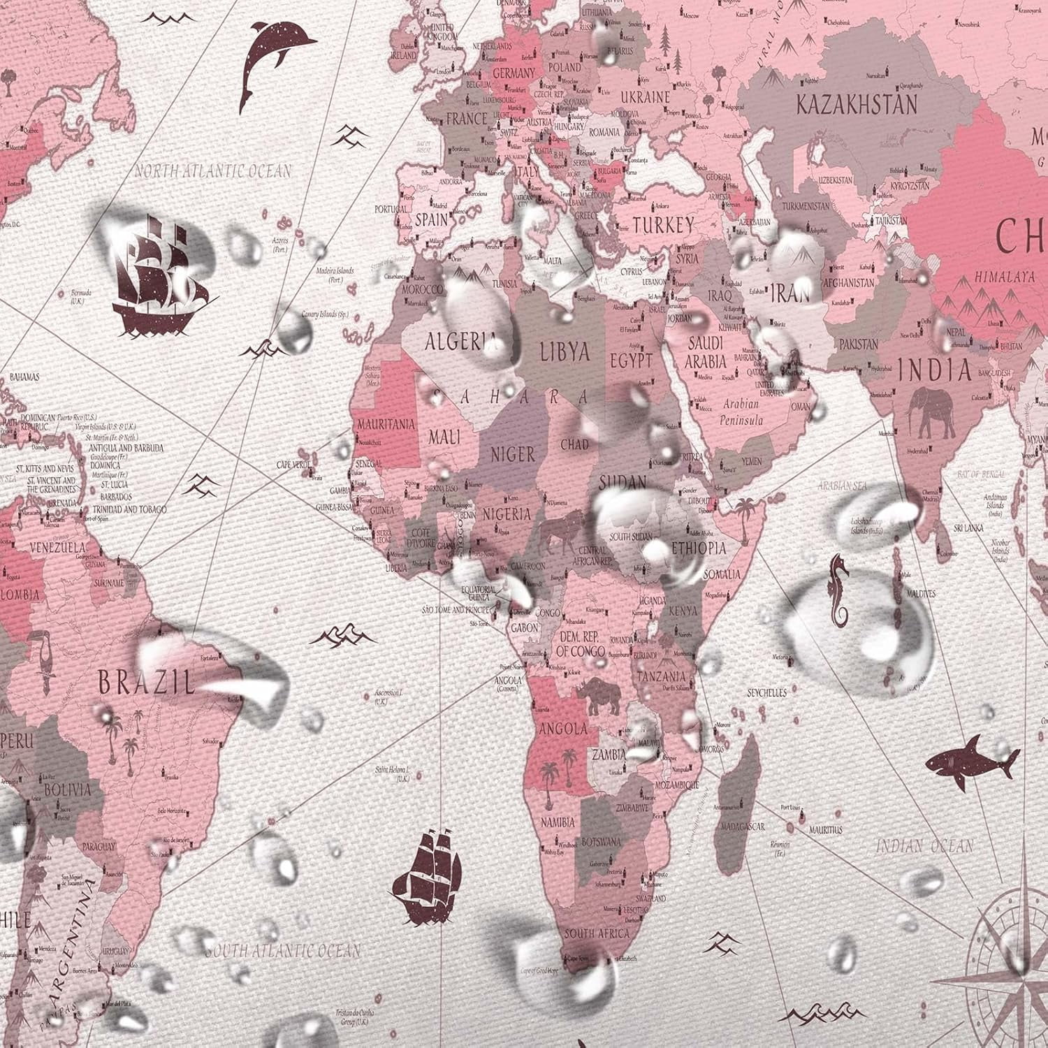 World Map Shower Curtain, Map of The World with National Educational Fabric Shower Curtains Set for Bathroom, Geography Educational Fabric Bathroom Shower Curtain with Hooks, 70X75IN（Pink）