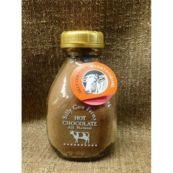 Sillycow  16.9 oz Sea Salt Caramel Hot Chocolate, Pack of 6