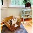 thumbnail image 3 of Cats Desire Disposable Litter Box, 3 of 7