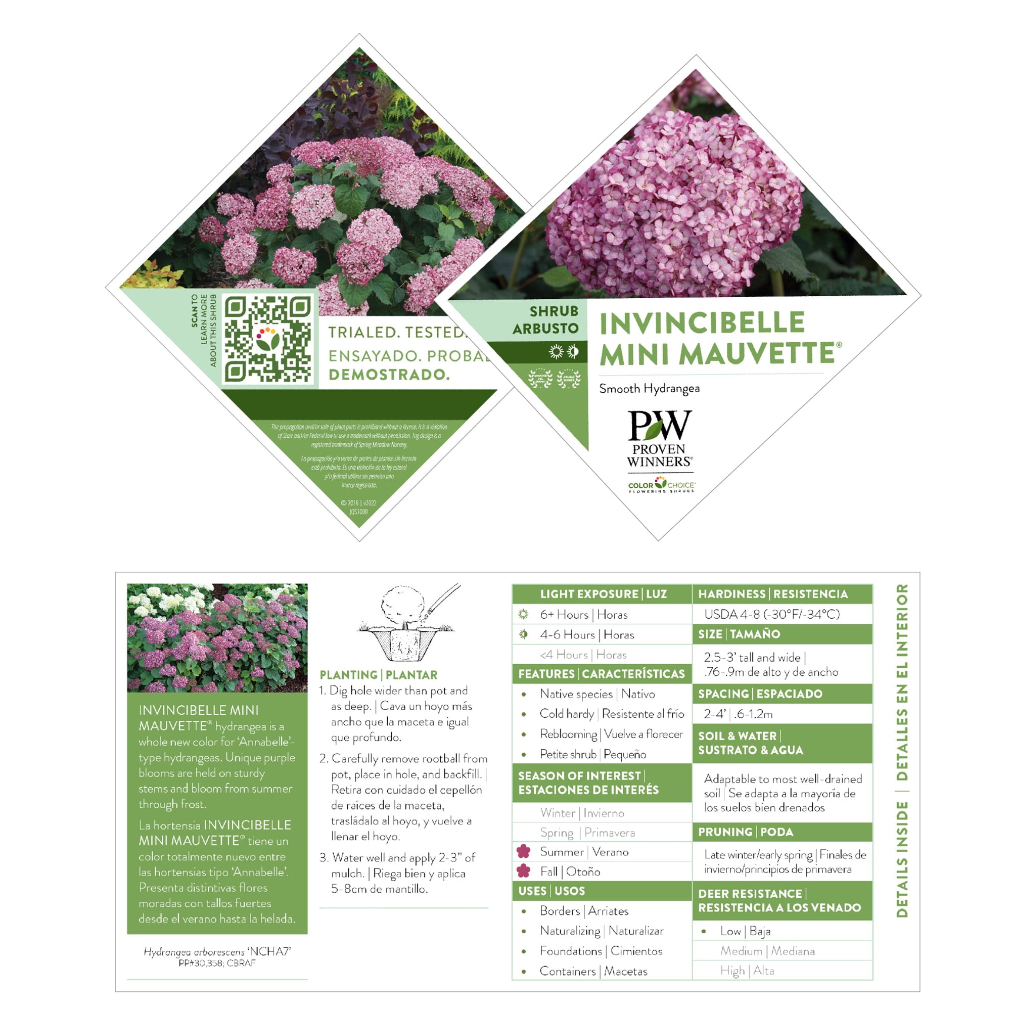 Proven Winners ColorChoice Invincibelle Mini Mauvette Hydrangea Live Shrub (2 Gallon)