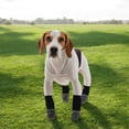 thumbnail image 7 of Unique Bargains 4 Pcs Non-Slip Dog Socks with Reflective Tapes Gray S, 7 of 7