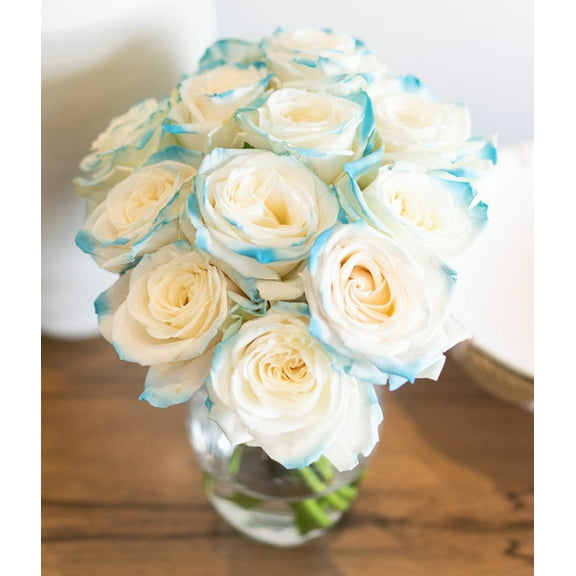 From You Flowers - One Dozen Aquamarine Roses in Clear Glass Vase for Birthday, Anniversary, Get Well, Congratulations, Thank You, All Occasions