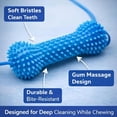 thumbnail image 5 of Dual-Action Canine Dental Prop, Bite and Brush Dental Toy for Dogs, Dog Dent𝐚𝐥 Chew Toy for Easier Teeth Brushing, for Daily Home Use, for Small Medium Large Dogs (3pcs), 5 of 8