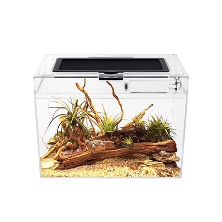 Reptile Growth Mini Reptile Terrarium 12 x 7 x 9 Reptile Tank with Full View Visually Appealing,for Insect,Fish,Tarantula,Hermit crab,Jumping spider,Iguana,Tortoise,Leopard Gecko,Frog,Bearded drago