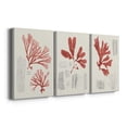 thumbnail image 3 of Vintage Coral Study I Premium Gallery Wrapped Canvas - Ready to Hang - 18 x 27 Each, 3 of 10