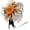 patternE, variant on Lightweight Fascinator Hat with Flower Feather Mesh for Women Tea Party Church