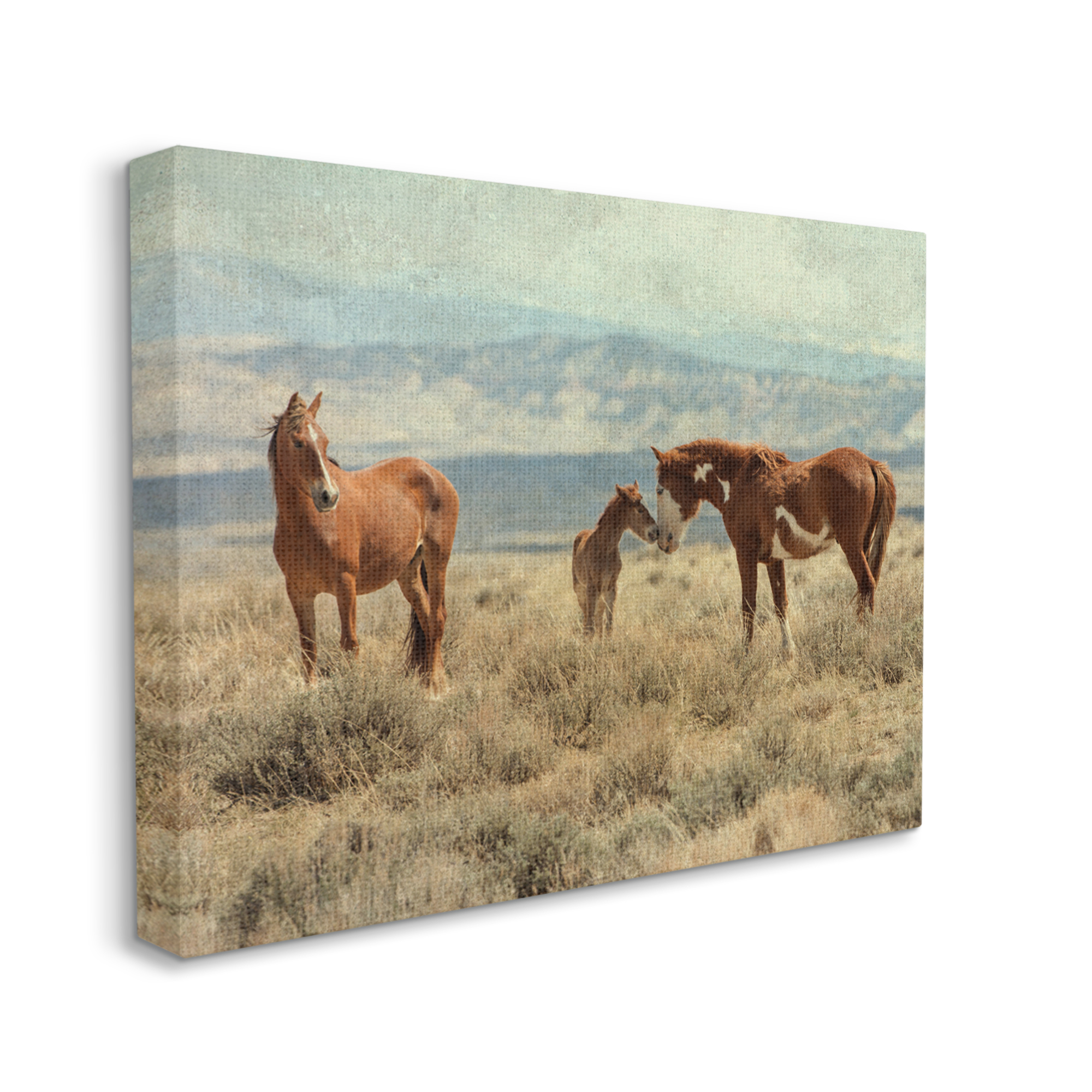 Stupell Industries Heartening Horse Foal Family Scenic Mountain Clouds Photograph Gallery Wrapped Canvas Print Wall Art, Design by Jan Walters