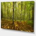 thumbnail image 2 of Panorama de Forêt Automnale Verte - Impression d'Art sur Toile Paysage, 2 of 4